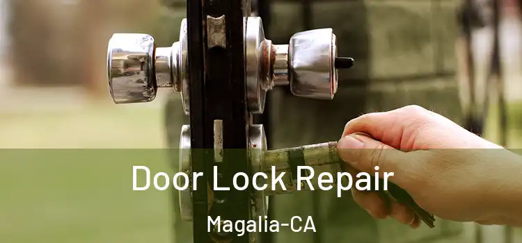 Door Lock Repair Magalia-CA
