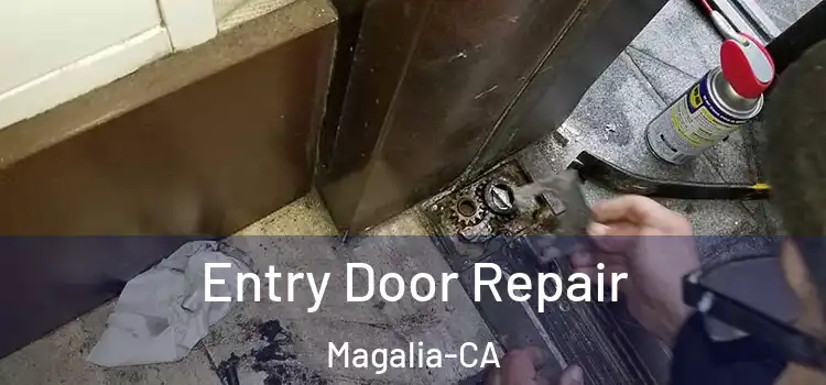 Entry Door Repair Magalia-CA