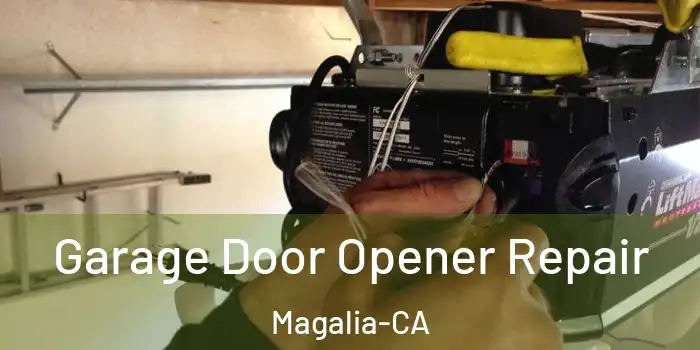 Garage Door Opener Repair Magalia-CA