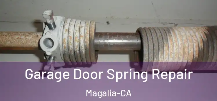 Garage Door Spring Repair Magalia-CA