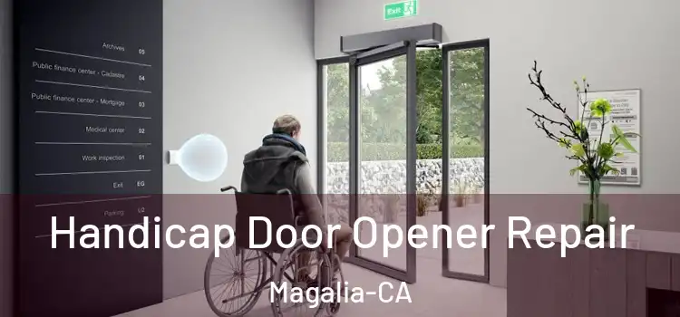 Handicap Door Opener Repair Magalia-CA