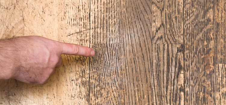 Wood Door Scratch Repair in Magalia