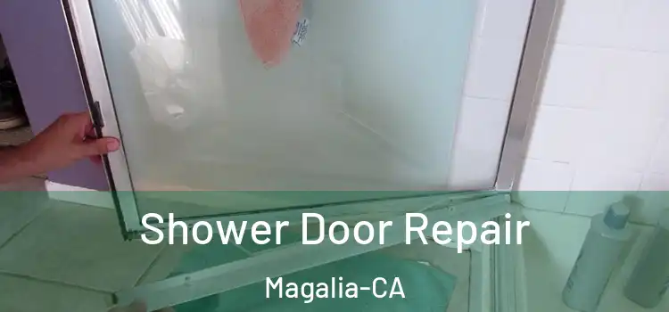 Shower Door Repair Magalia-CA